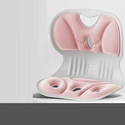 Ergonomisch Lendensteun Kussen voor Rugsteun en Comfort