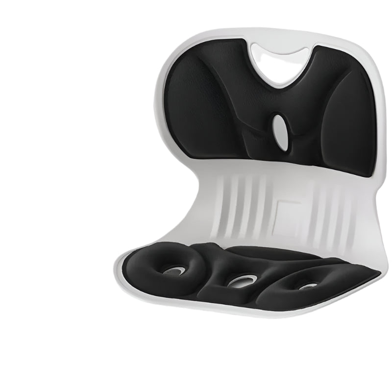 Ergonomisch Lendensteun Kussen voor Rugsteun en Comfort - Velinix