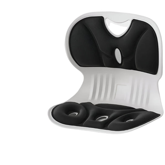 Ergonomisch Lendensteun Kussen voor Rugsteun en Comfort - Velinix