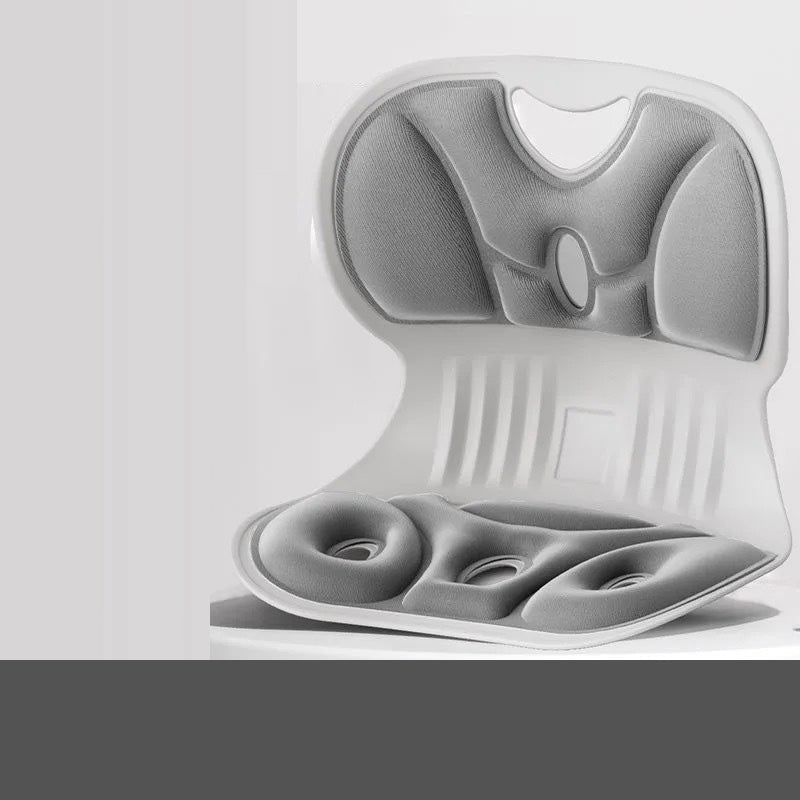Ergonomisch Lendensteun Kussen voor Rugsteun en Comfort