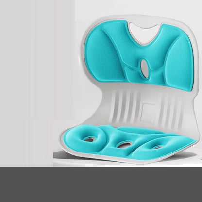 Ergonomisch Lendensteun Kussen voor Rugsteun en Comfort
