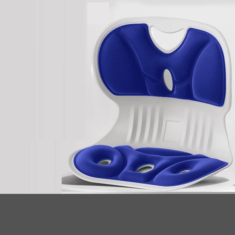 Ergonomisch Lendensteun Kussen voor Rugsteun en Comfort