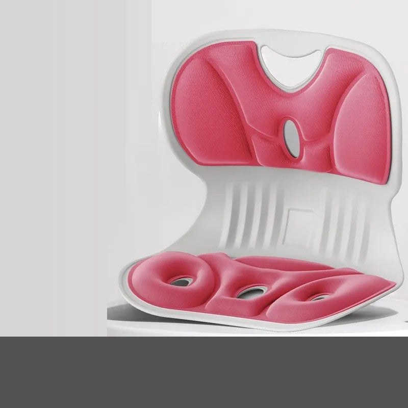 Ergonomisch Lendensteun Kussen voor Rugsteun en Comfort