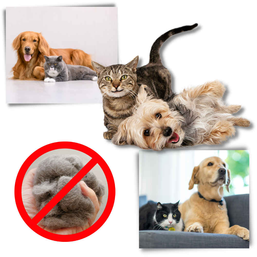 Ontviltborstel voor Honden en Katten Verwijderd Losse Haren