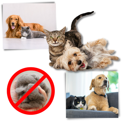 Ontviltborstel voor Honden en Katten Verwijderd Losse Haren