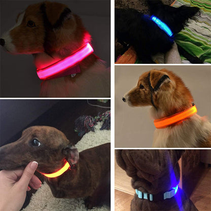 Dierenhalsband met LED-licht Oplaadbaar en Waterbestendig