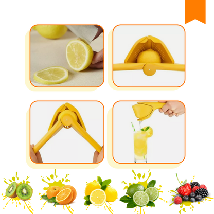 Handmatige Citruspers voor Citroen en Sinaasappel