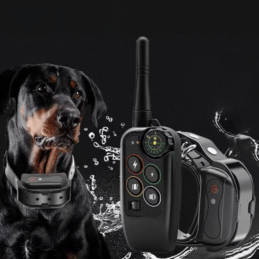 Waterdichte Honden Trainingscollar 1000m Afstandsbediening