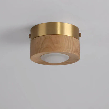 Walnoot Plafondlamp LED Schijnwerper Modern Design