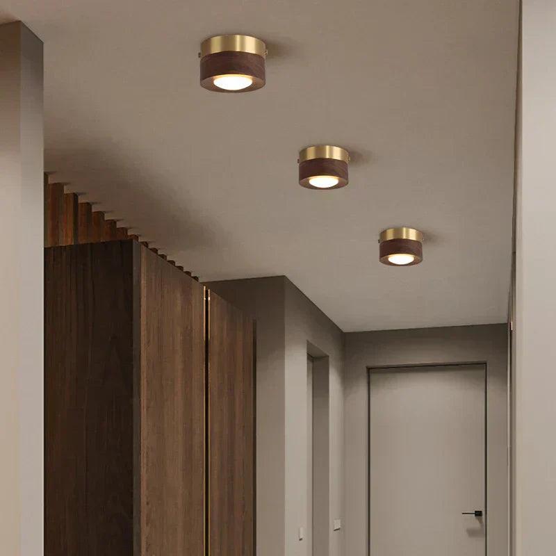 Walnoot Plafondlamp LED Schijnwerper Modern Design