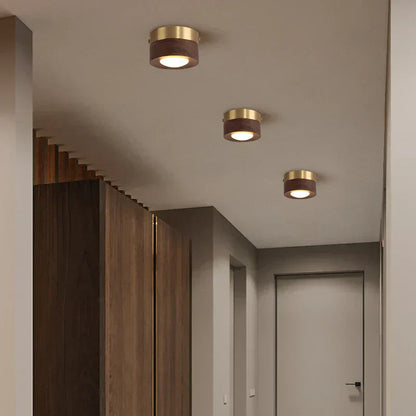 Walnoot Plafondlamp LED Schijnwerper Modern Design