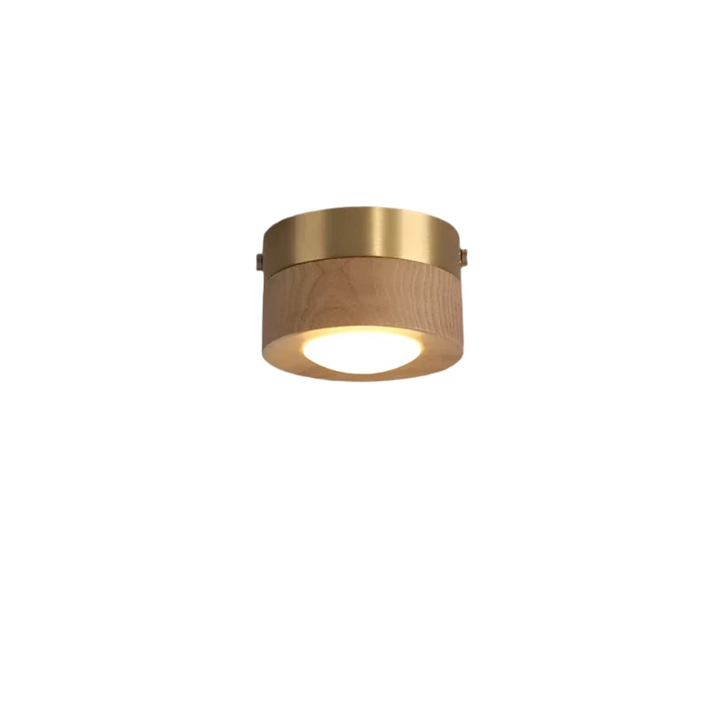 Walnoot Plafondlamp LED Schijnwerper Modern Design