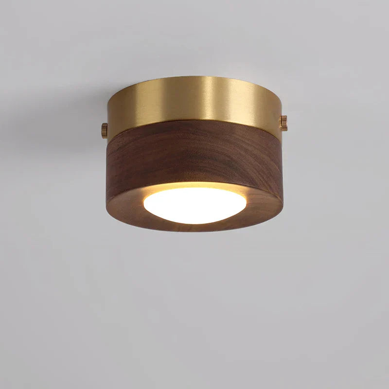 Walnoot Plafondlamp LED Schijnwerper Modern Design