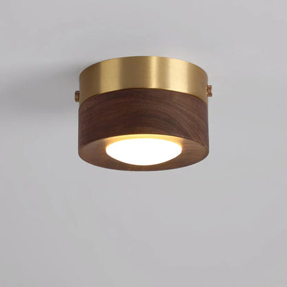 Walnoot Plafondlamp LED Schijnwerper Modern Design