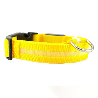 Dierenhalsband met LED-licht Oplaadbaar en Waterbestendig