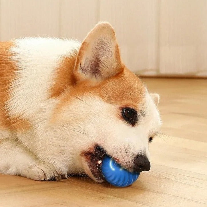 Interactieve Happende Bal voor Honden