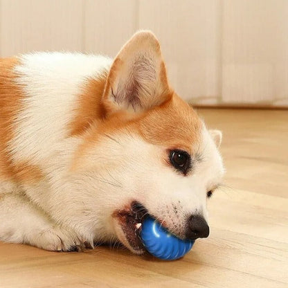 Interactieve Happende Bal voor Honden